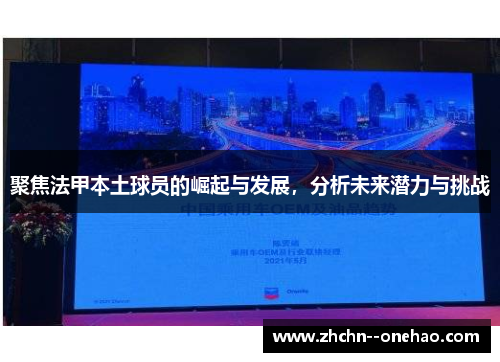 聚焦法甲本土球员的崛起与发展，分析未来潜力与挑战
