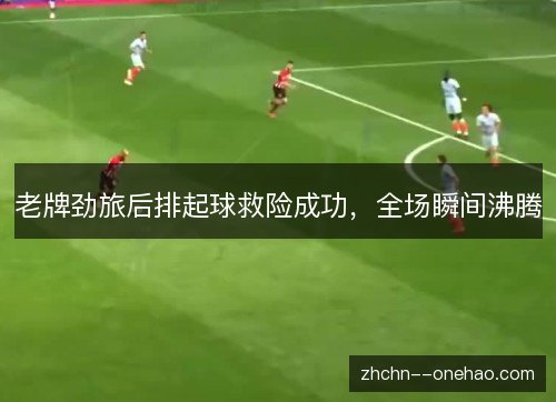 老牌劲旅后排起球救险成功,全场瞬间沸腾 老牌劲旅后排起球救险成功,全场瞬间沸腾